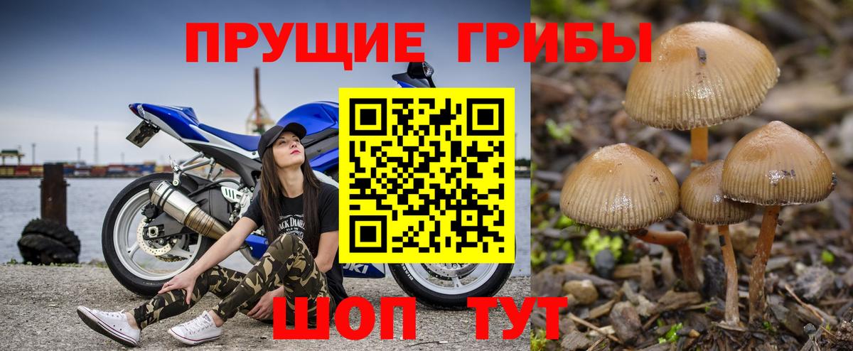 Галлюциногенные грибы Magic Shrooms Ахтубинск